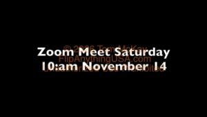 2020-11-14 Mentorship Recording
