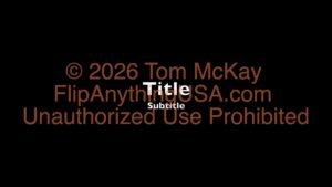 2021-01-02 Mentorship Recording