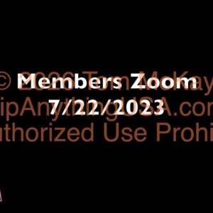 2023-07-22 Mentorship Recording
