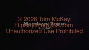 2023-11-11 Mentorship Recording
