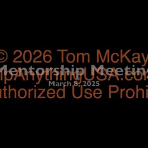 2025-03-08 Mentorship Recording