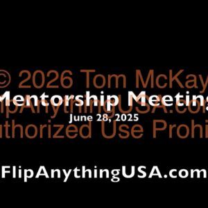 2025-06-28 Mentorship Recording