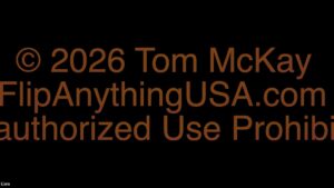 2026-01-03 Mentorship Recording