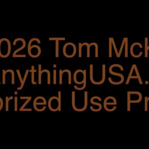 2026-01-03 Mentorship Recording